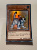 Rescue CAT Ultra Rare Near Mint
