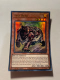 Test Bear Ultra Rare Near Mint