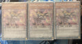 3x Odd-Eyes Deck - Legendary Arc-V Decks - LAVD - Sealed