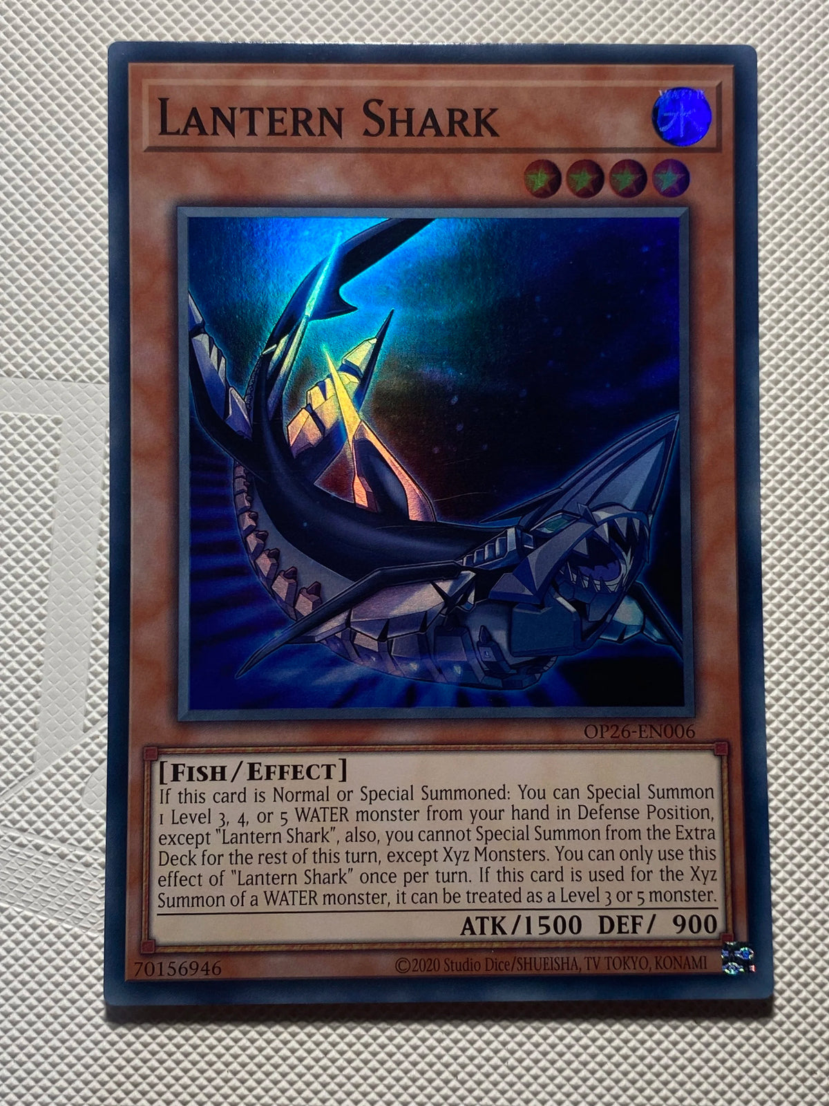 LANTERN SHARK Super Rare