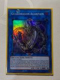 Guardragon Agarpain Super Rare Near Mint