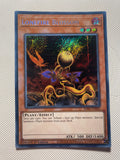 Lonefire Blossos Secret Rare Near Mint