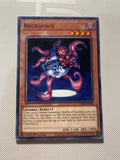 Necroface Common